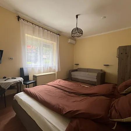 Apartament Szoda House